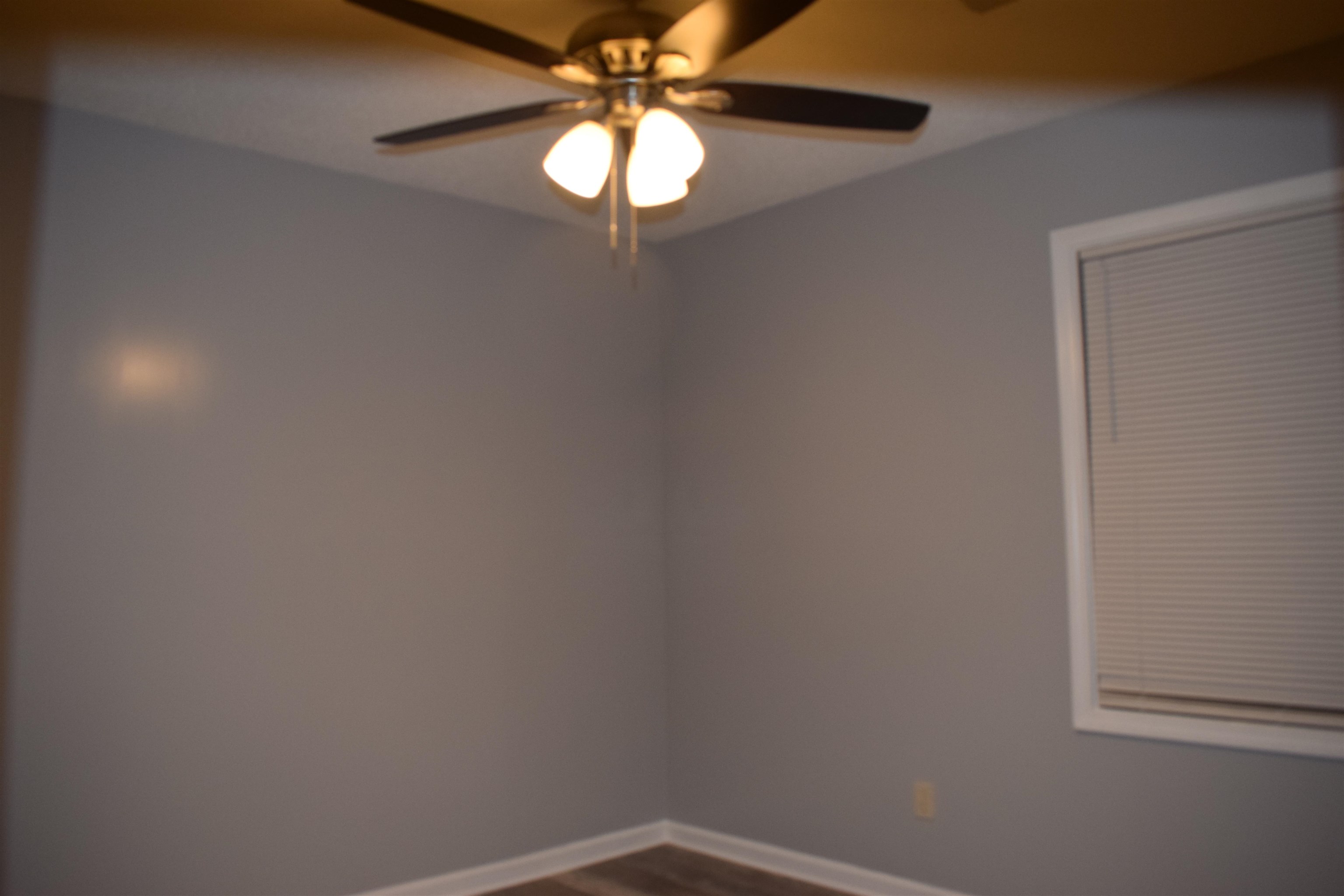 20 Lagrange Road La Grange, TN 38046 - Photo 8 of 17 Gallery Image 8