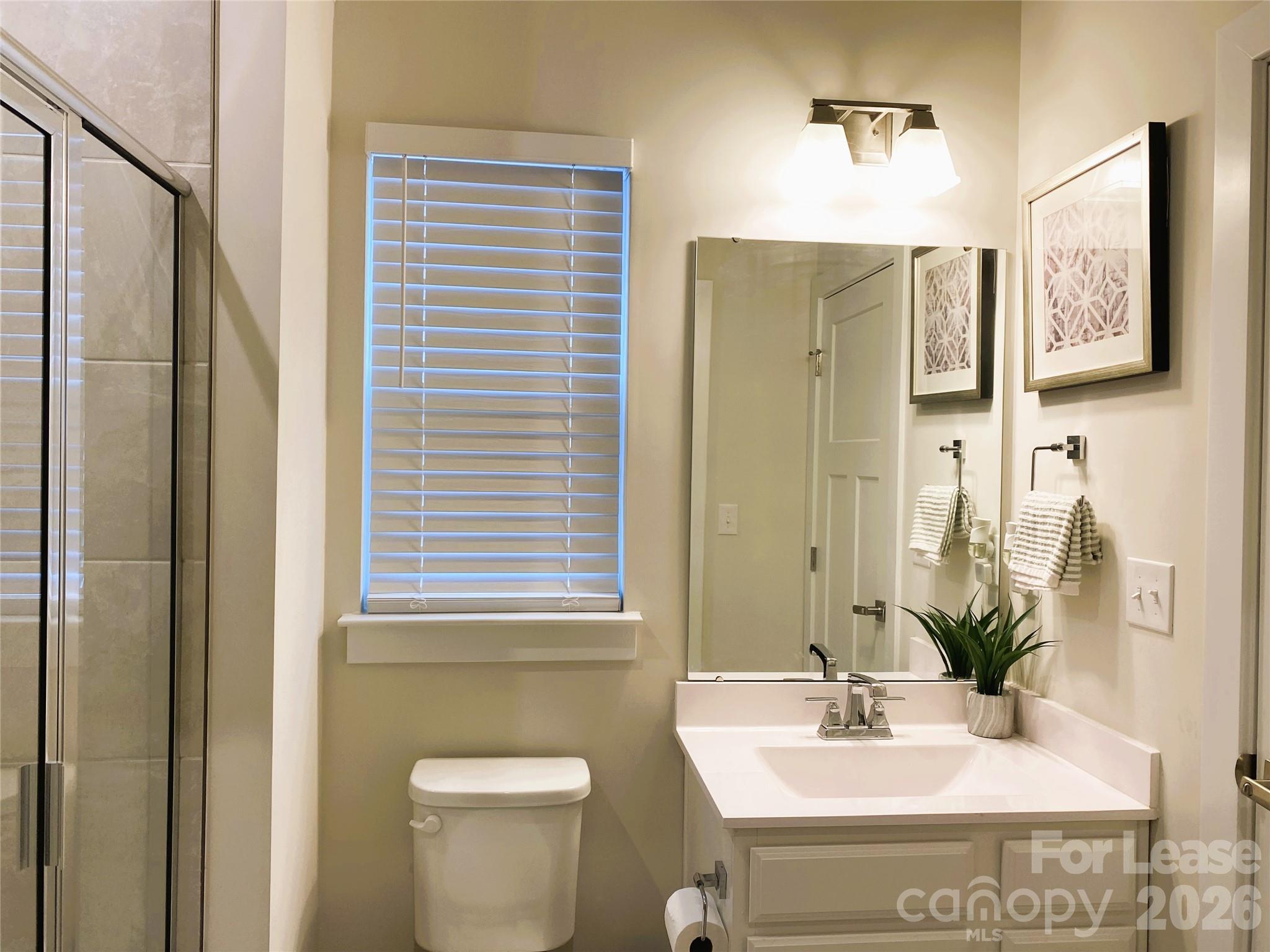 3163 Streamside Drive Davidson, NC 28036 - Photo 13 of 20 a bathroom with a sink a mirror and a shower