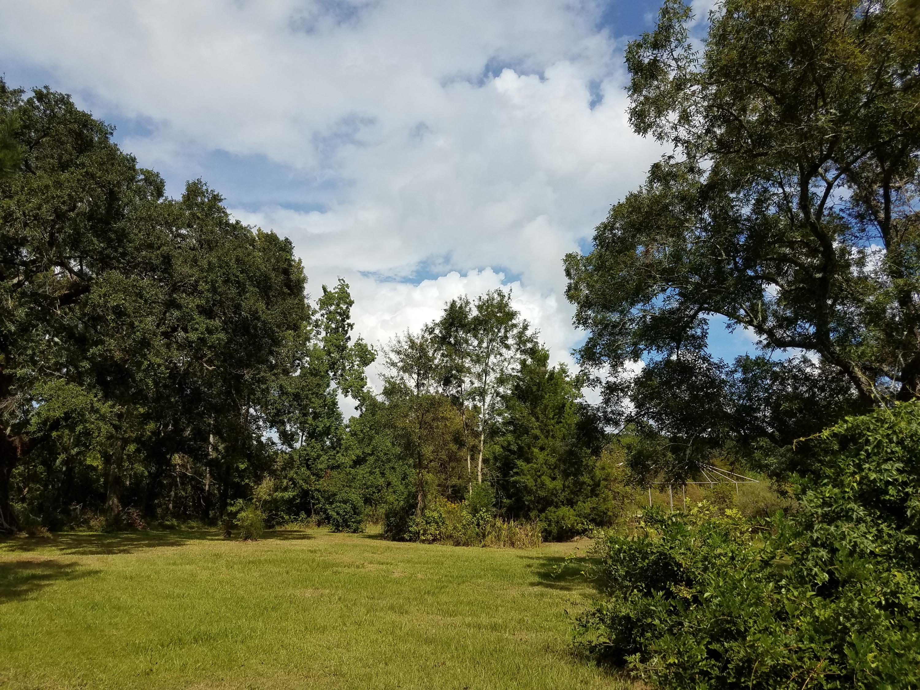 1836 Central Park Road Charleston, SC 29412 - Photo 4 of 6 20181008_132944