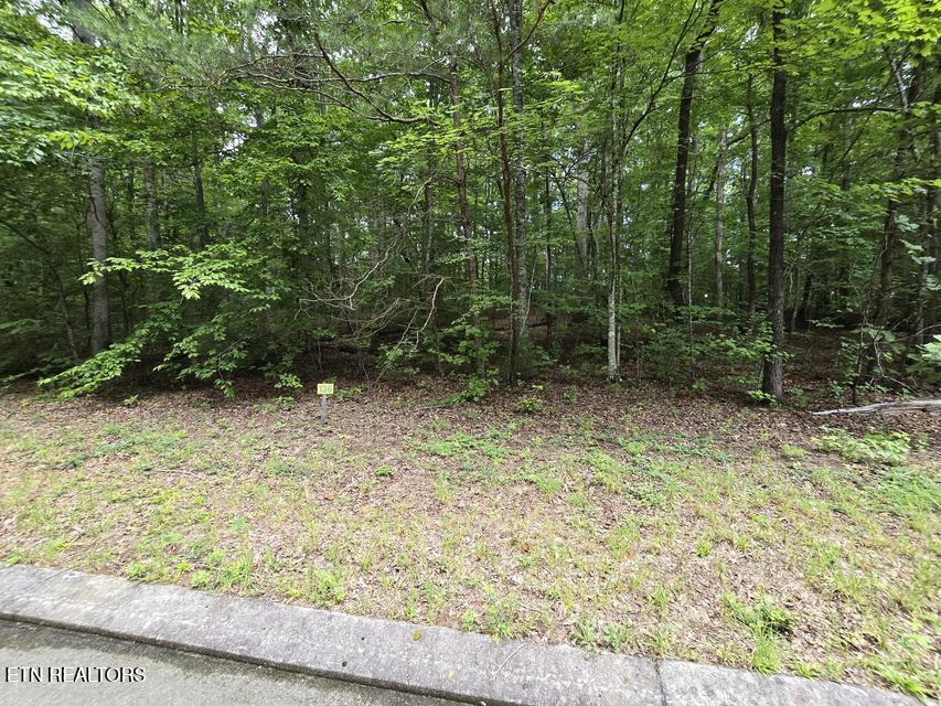 136 Lot Road Dunlap, TN 37327 - Photo 2 of 5 2