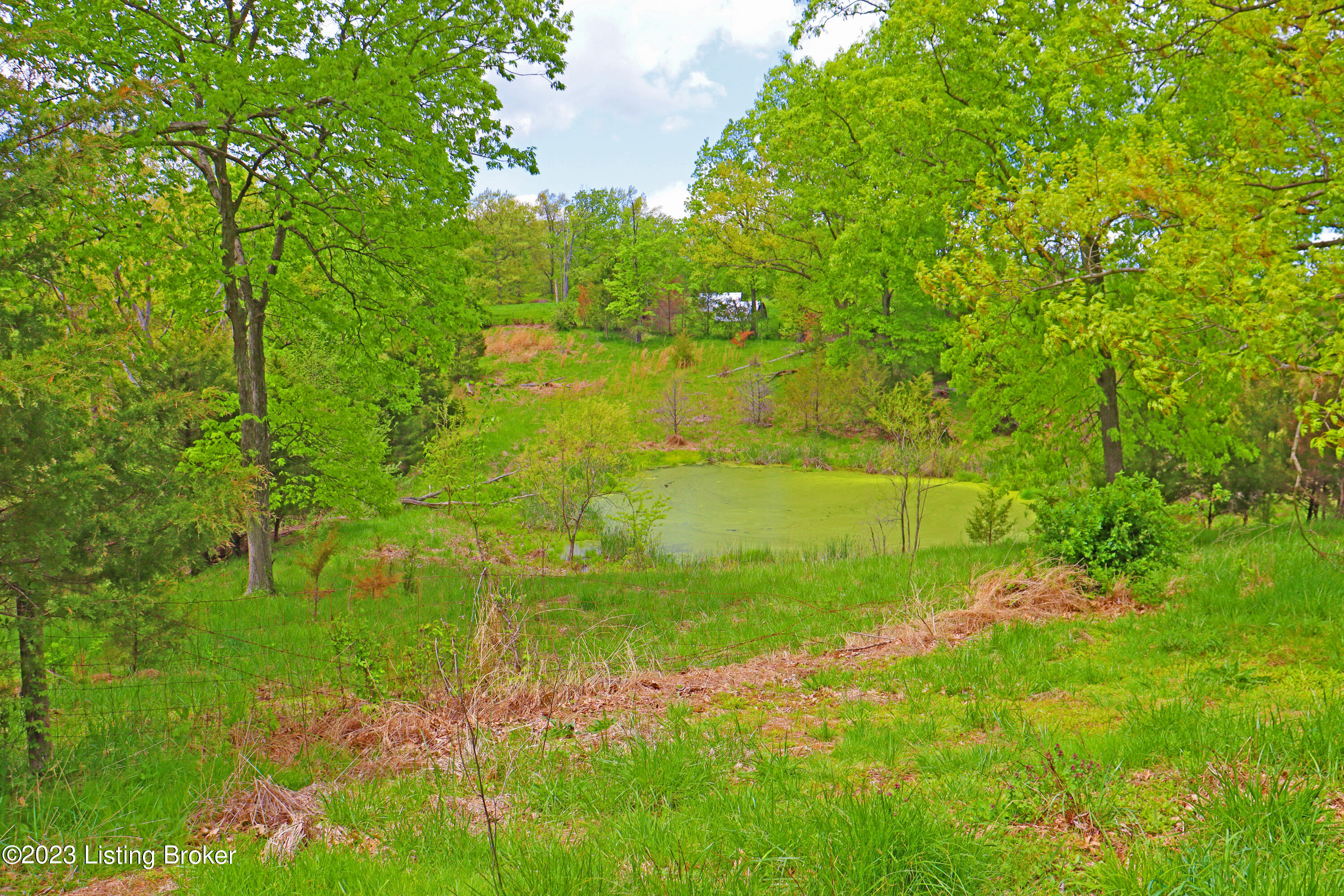 1771 Lebanon Ridge Road Bagdad, KY 40003 - Photo 55 of 65 Pond #3