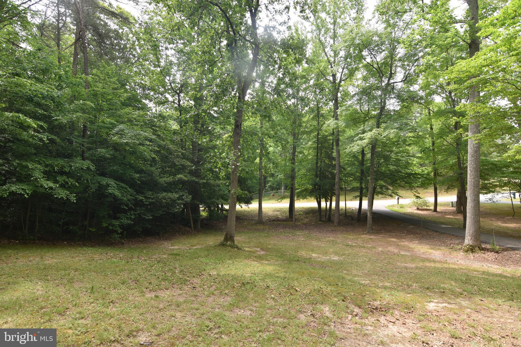 25040 Morgan Road Hollywood, MD 20636 - Photo 45 of 50 Gallery Image 45