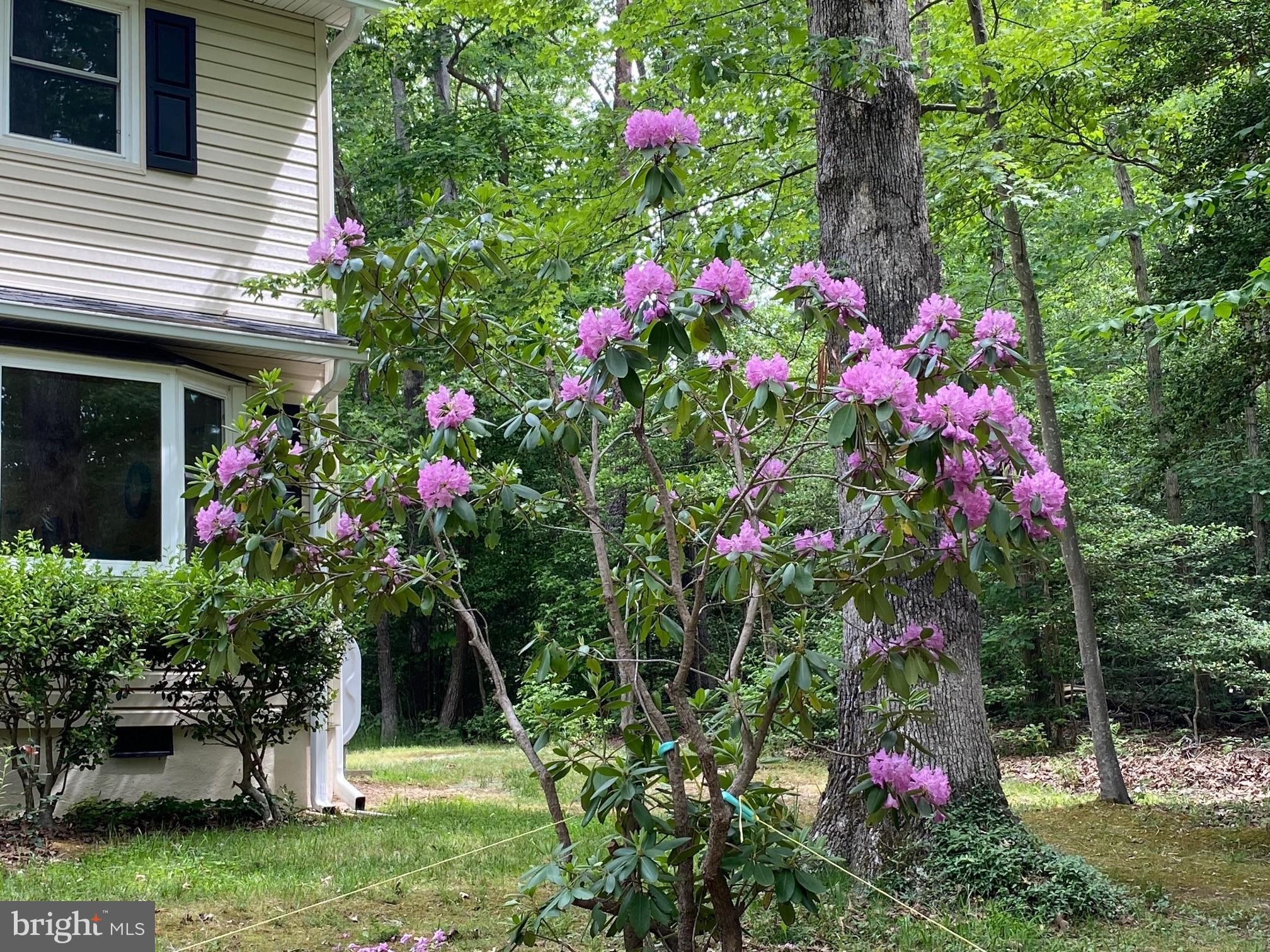 25040 Morgan Road Hollywood, MD 20636 - Photo 6 of 50 Gallery Image 6