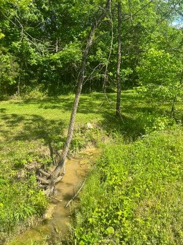 1599 Locust Fork Road Stamping Ground, KY 40379 - Photo 15 of 20 20240523195418760019000000-o
