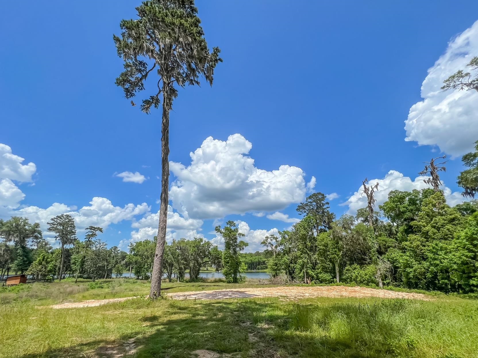 3701 Phipps Point Road Tallahassee, FL 32309 - Photo 4 of 19 Gallery Image 4