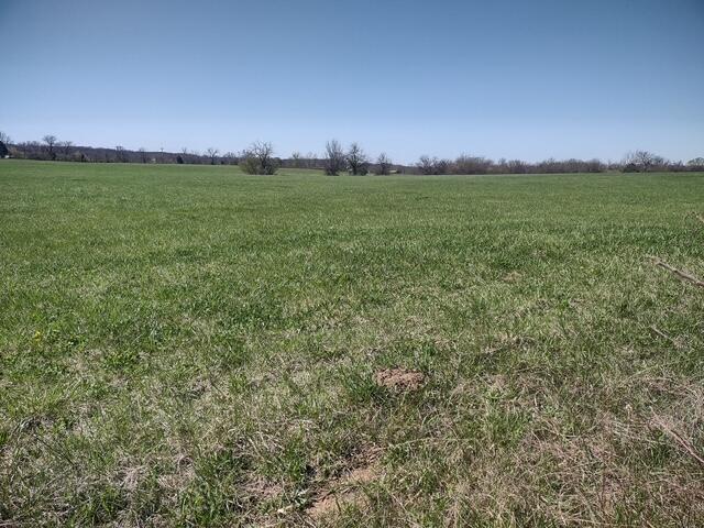 Tbd Commerce Road Marshfield, MO 65706 - Photo 2 of 3 6563535359989927630