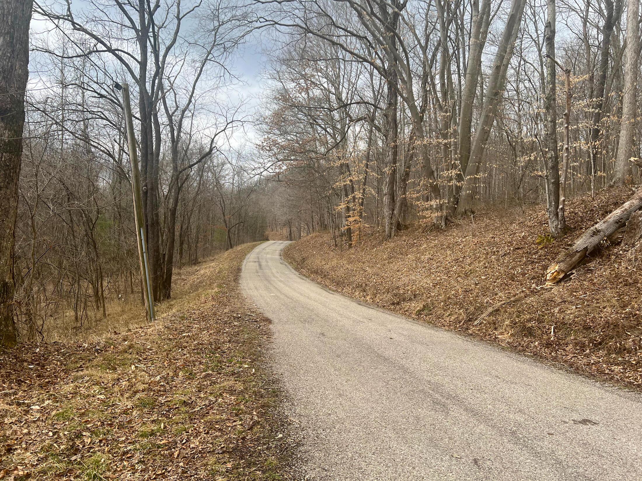 610 Cox Road Vinton, OH 45686 - Photo 11 of 12 IMG_6977-1