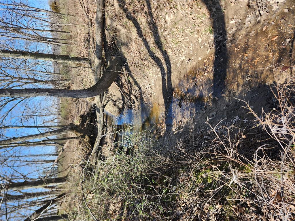 0 Marling Road Middletown, MO 63359 - Photo 13 of 32