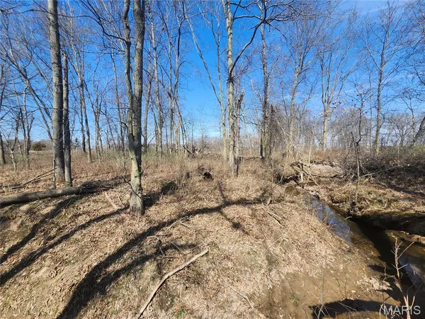$885,000 | 0 Marling Road, Middletown, MO 63359