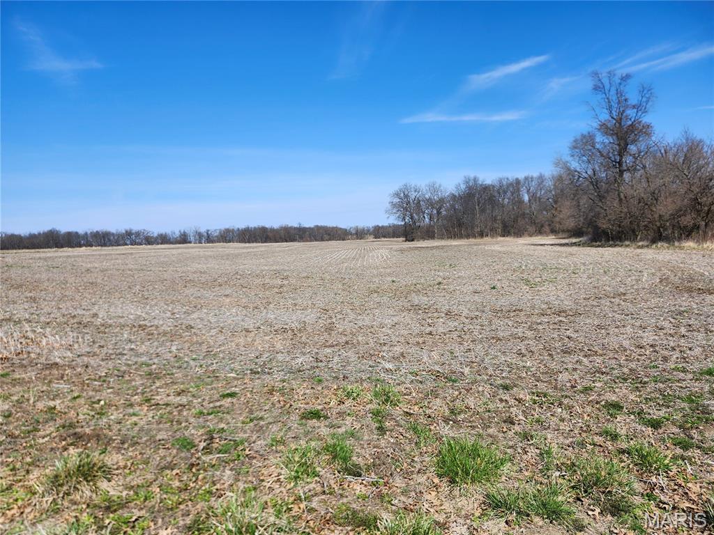 0 Marling Road Middletown, MO 63359 - Photo 19 of 32