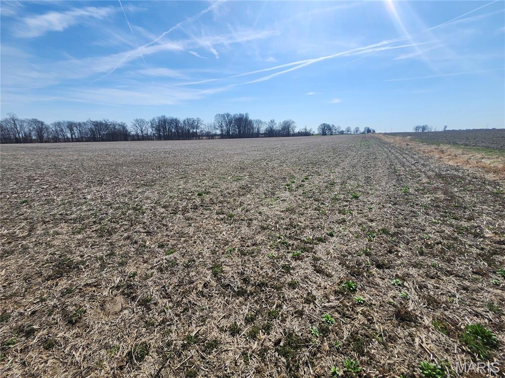 0 Marling Road Middletown, MO 63359 - Photo 20 of 32