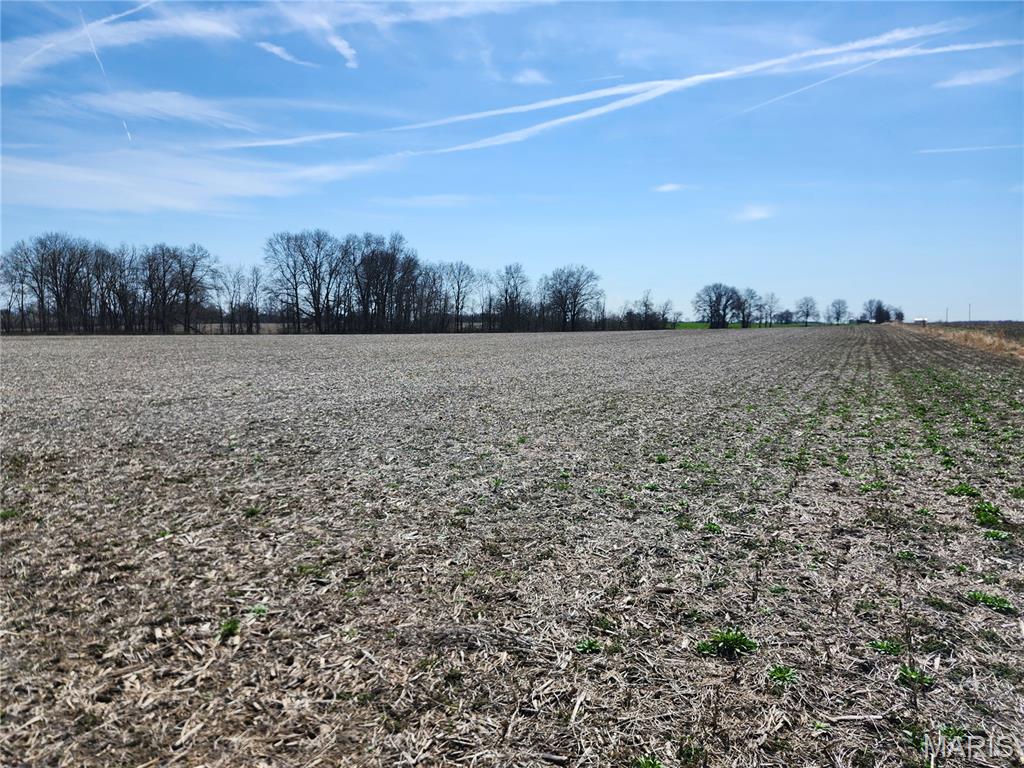 0 Marling Road Middletown, MO 63359 - Photo 22 of 32