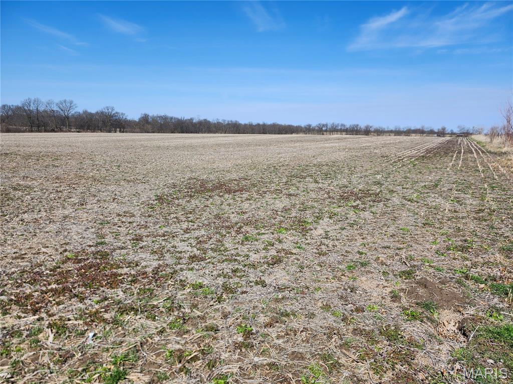 0 Marling Road Middletown, MO 63359 - Photo 8 of 32