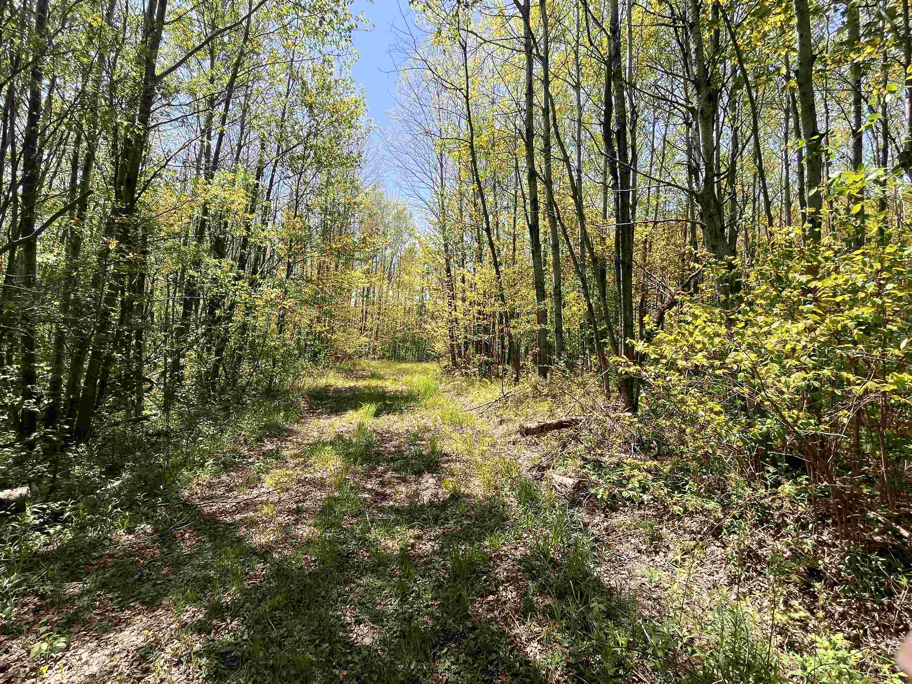 80-acres 80-acres Clausen Road Prentice, WI 54556 - Photo 10 of 17