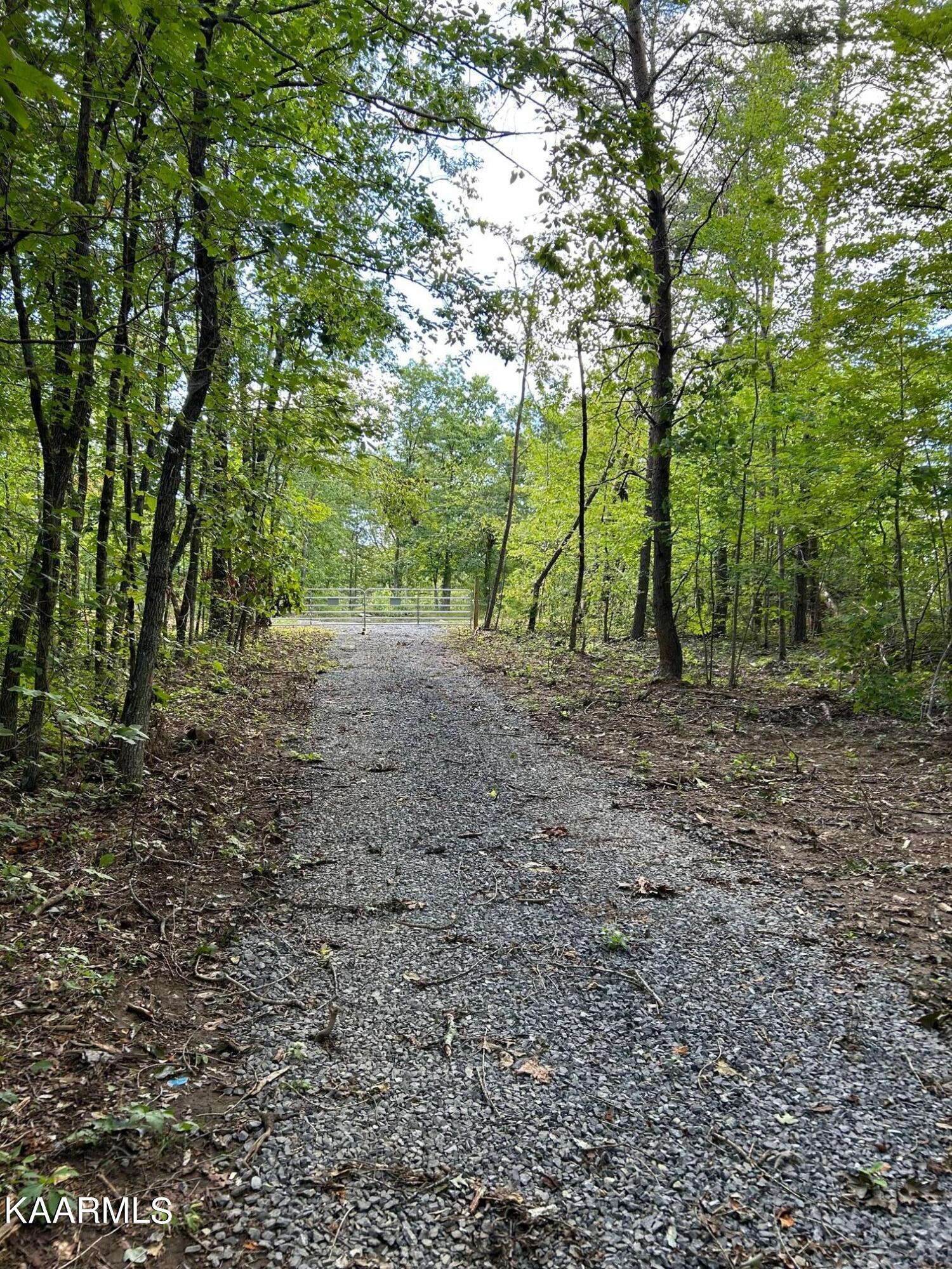 804 Raccoon Ridge Road Spring City, TN 37381 - Photo 4 of 29 IMG_2340