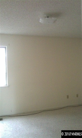 4309 Pescado Way Reno, NV 89502 - Photo 9 of 9 a view of basement