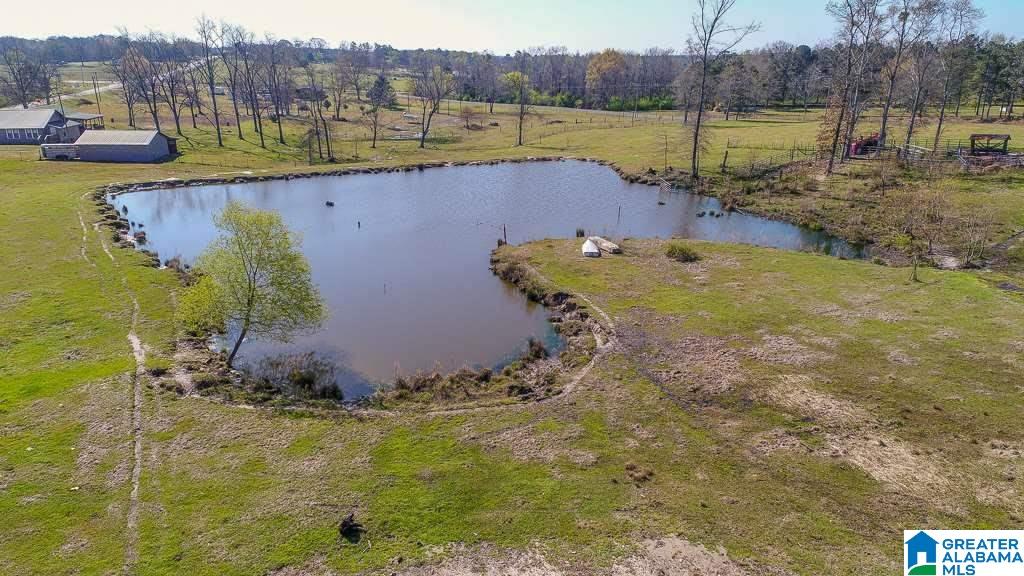 348 County Road 370, Unit 1 Clanton, AL 35045 - Photo 6 of 10
