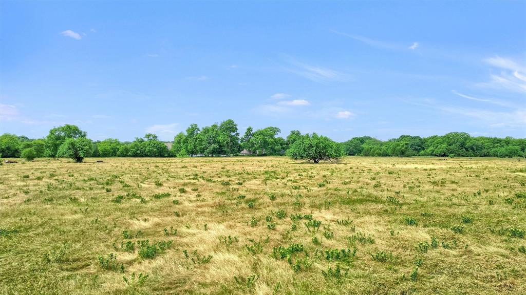 1730 Mackey Road Gunter, TX 75058 - Photo 15 of 21 a view of outdoor space and yard
