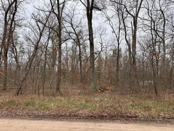 $6,900 | V/l West Lakewood Grove Drive, Baldwin, MI 49304