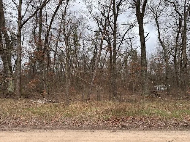 $6,900 | V/l West Lakewood Grove Drive, Baldwin, MI 49304