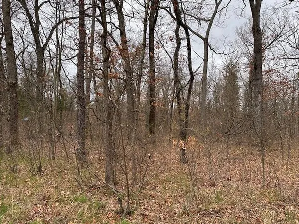 $6,900 | V/l West Lakewood Grove Drive, Baldwin, MI 49304