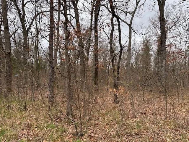 $6,900 | V/l West Lakewood Grove Drive, Baldwin, MI 49304