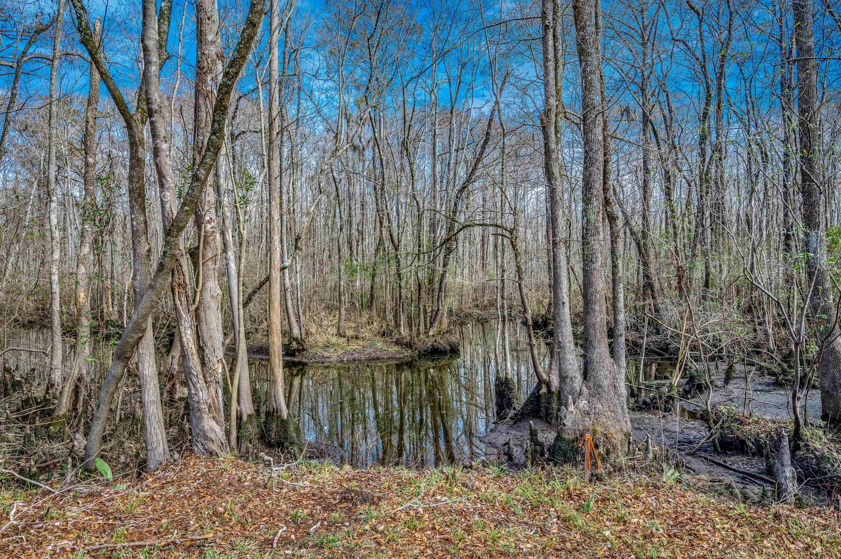 114 Hagar Brown Road Murrells Inlet, SC 29576 - Photo 38 of 40 Gallery Image 38