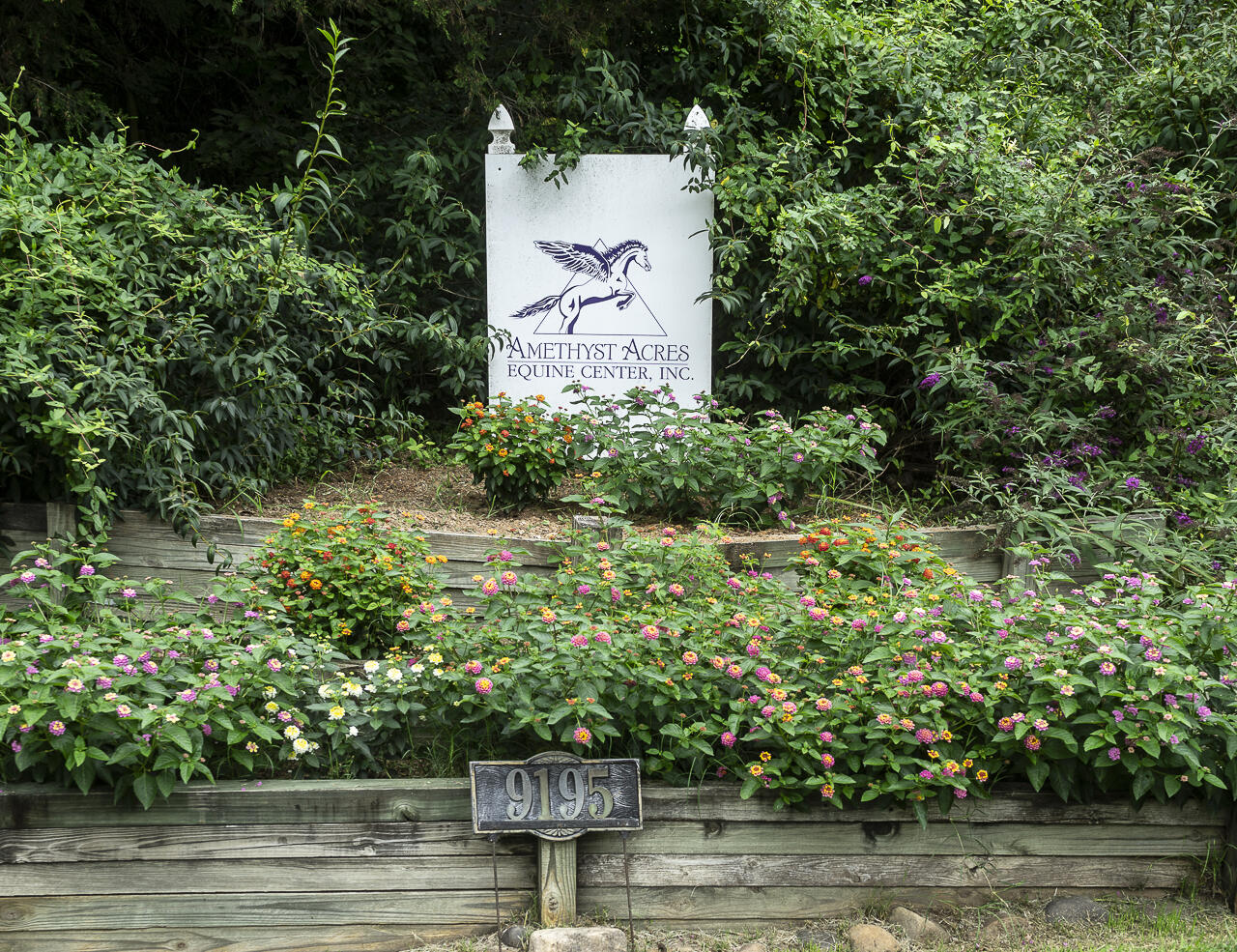 9195 Springwood Road Buchanan, VA 24066 - Photo 4 of 74 ENTRANCE