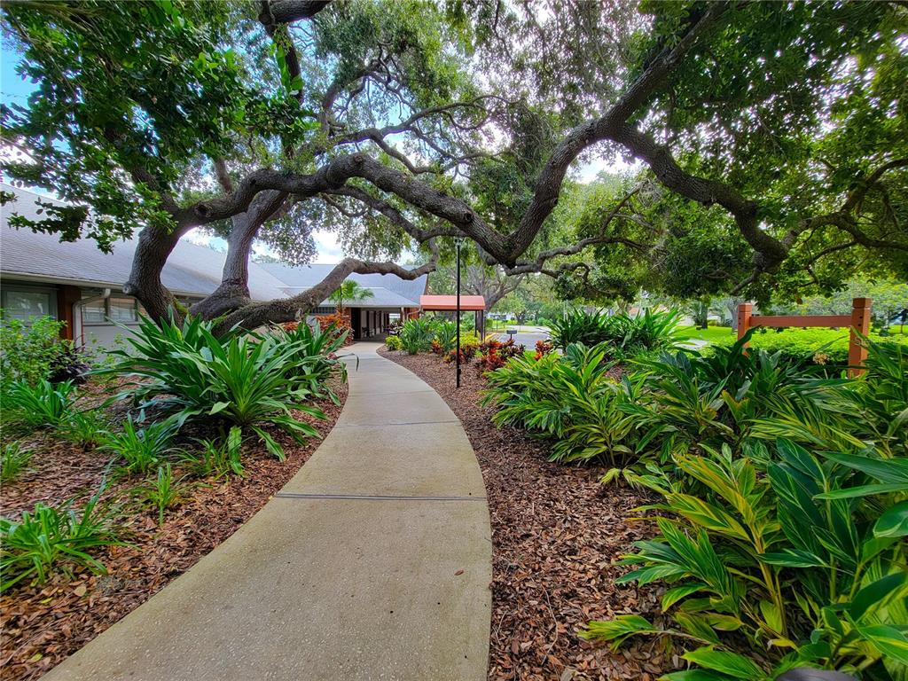 11203 Pembridge Court, Unit 1 Port Richey, FL 34668 - Photo 31 of 32 a view of a garden