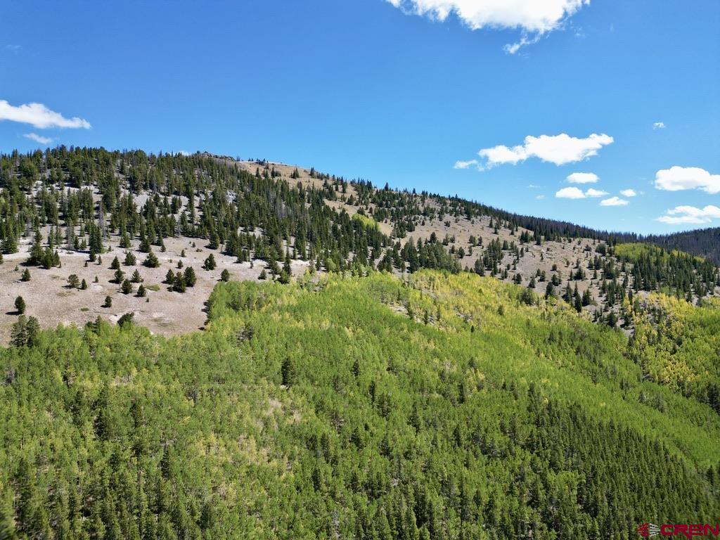 840 Forest Service Road Pitkin, CO 81241 - Photo 32 of 45 Gallery Image 32