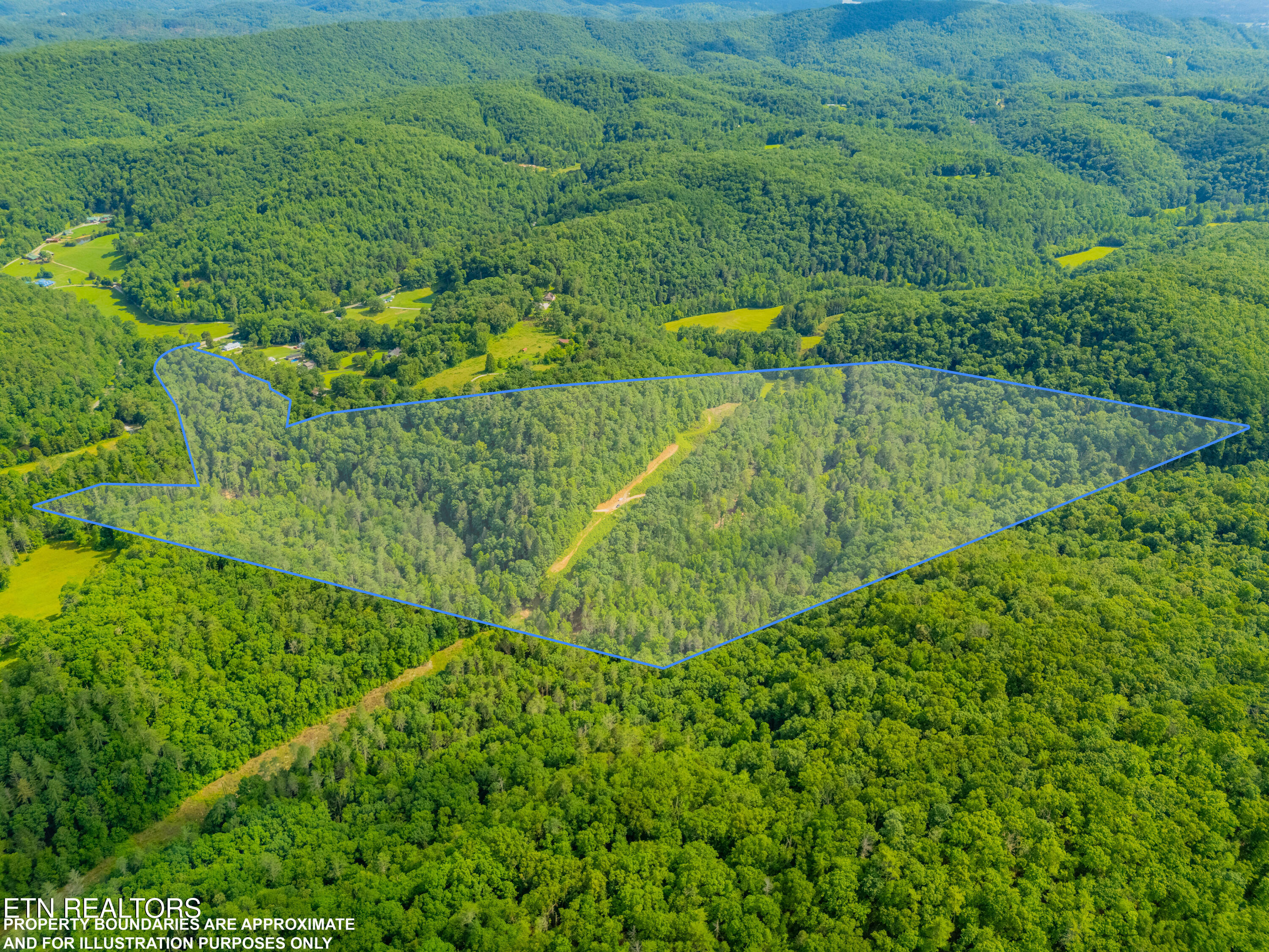 118 Authorn Sheldon Road Harriman, TN 37748 - Photo 2 of 58 DJI_20250617164943_0150_D-HDR-LOT-LINES