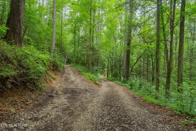 $594,900 | 118 Authorn Sheldon Road, Harriman, TN 37748