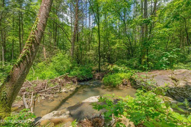 $594,900 | 118 Authorn Sheldon Road, Harriman, TN 37748