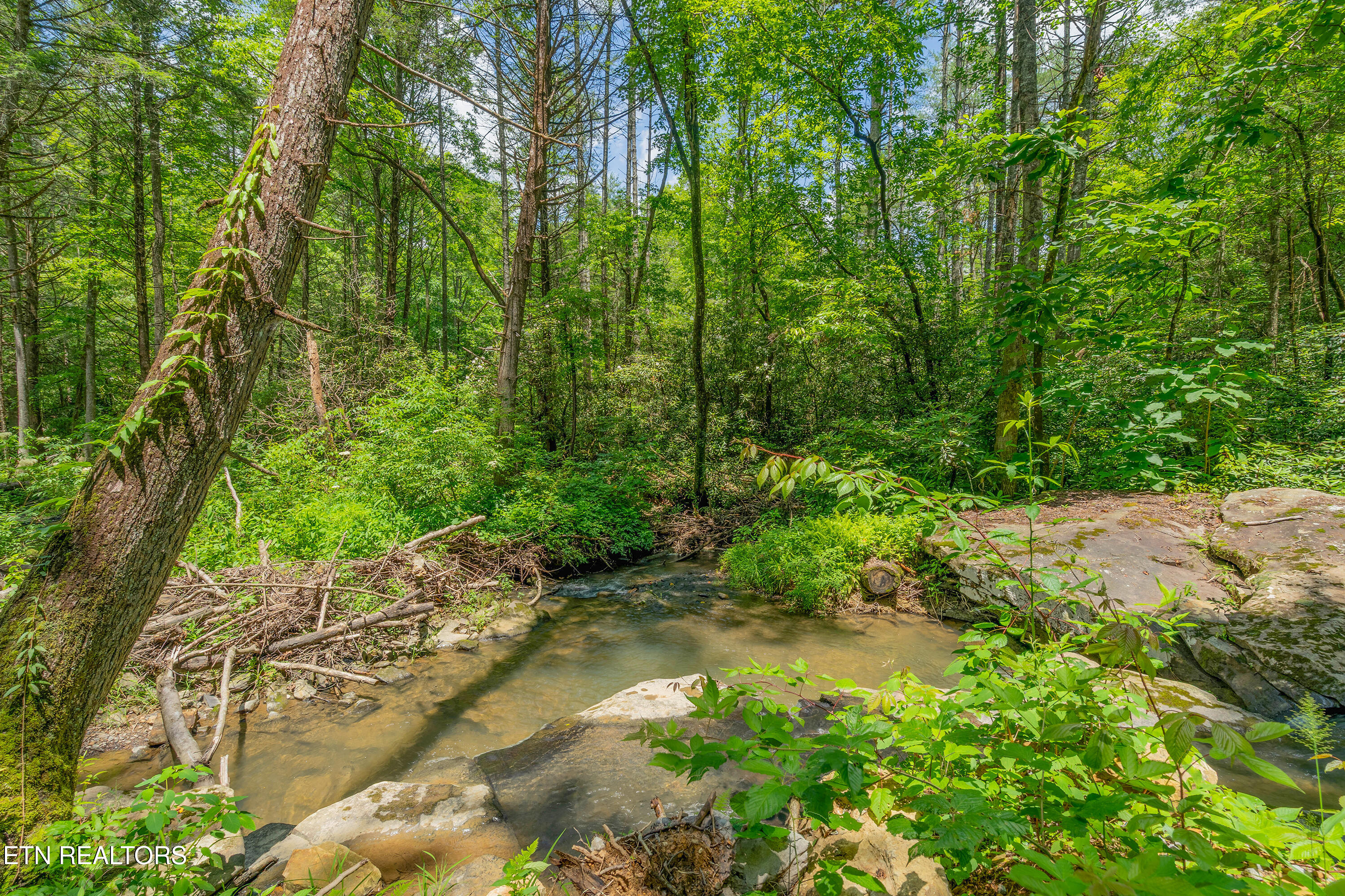 118 Authorn Sheldon Road Harriman, TN 37748 - Photo 22 of 58 A7301507-HDR