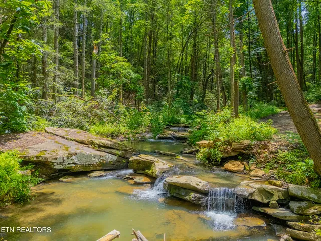 $594,900 | 118 Authorn Sheldon Road, Harriman, TN 37748