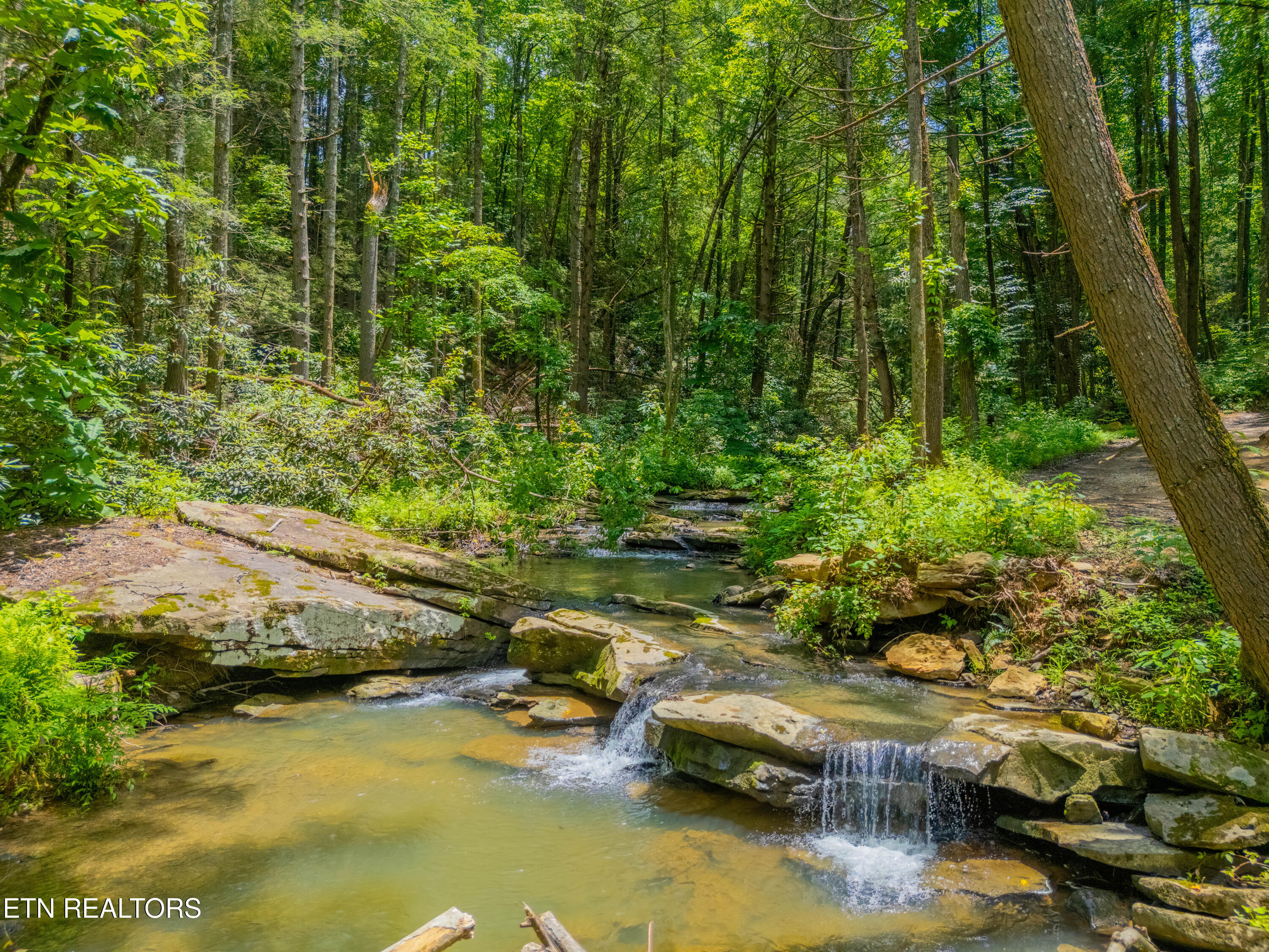 118 Authorn Sheldon Road Harriman, TN 37748 - Photo 23 of 58 DJI_20250617141851_0929_D-HDR