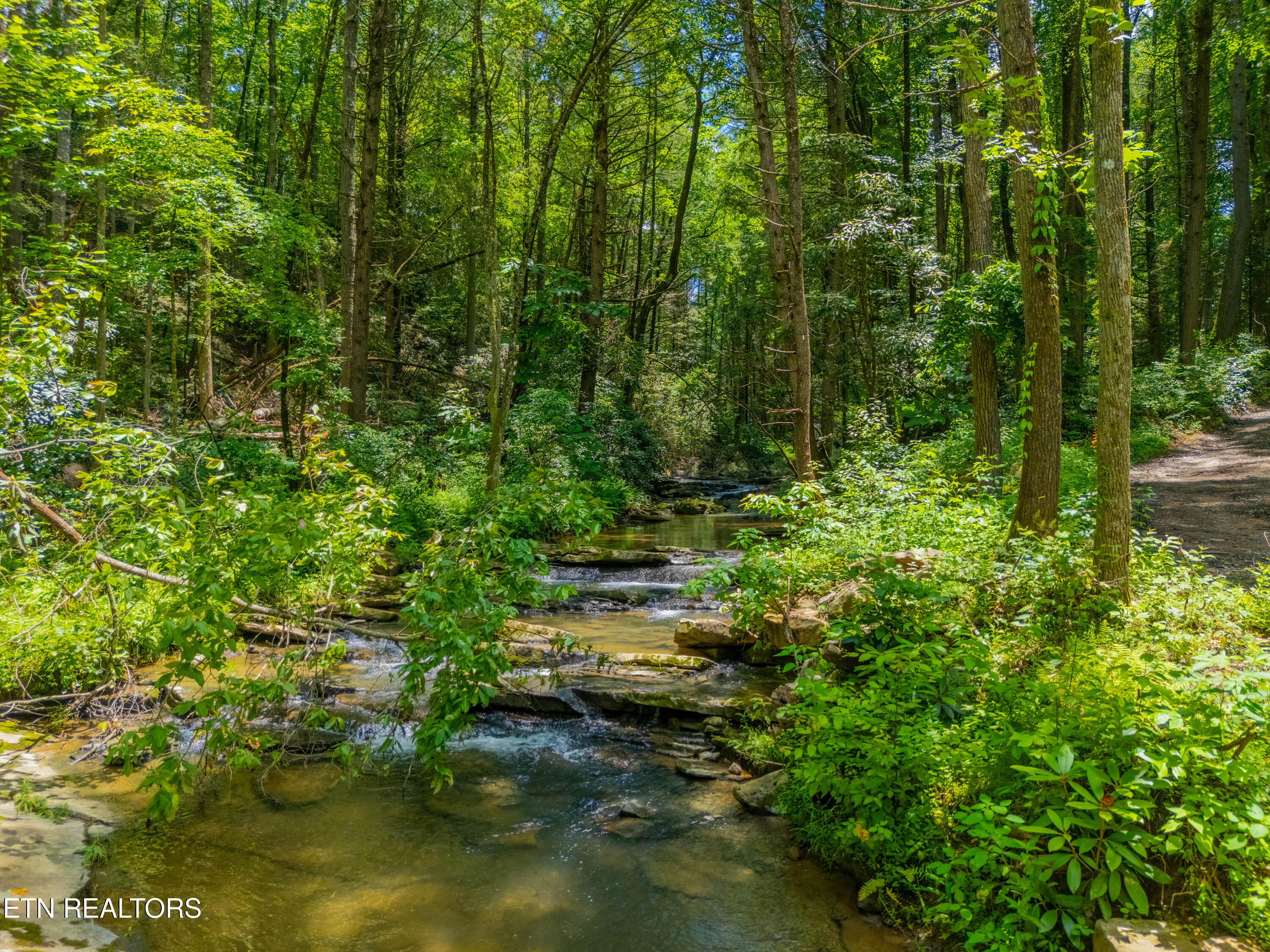 118 Authorn Sheldon Road Harriman, TN 37748 - Photo 24 of 58 DJI_20250617141925_0934_D-HDR