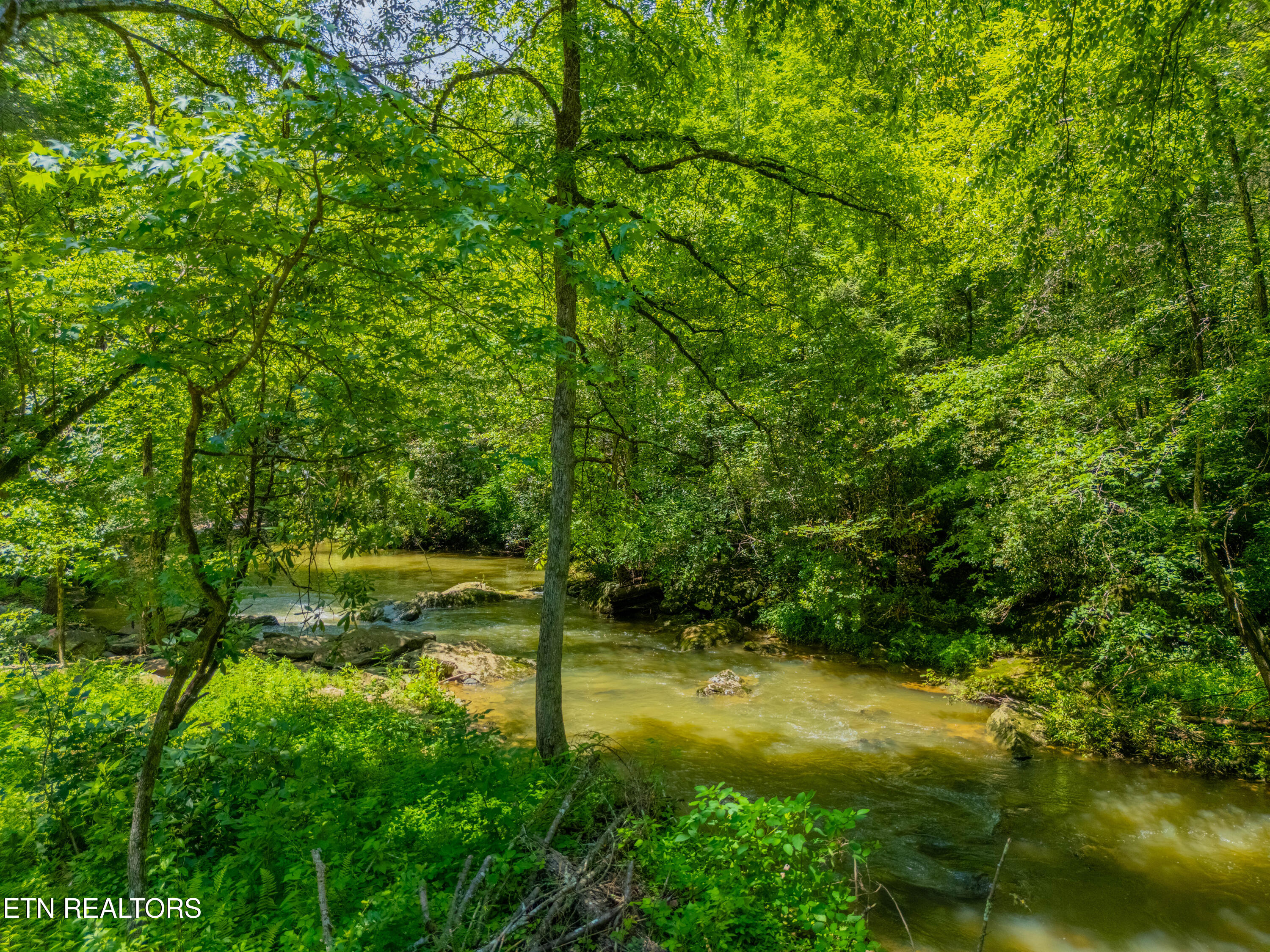 118 Authorn Sheldon Road Harriman, TN 37748 - Photo 26 of 58 DJI_20250617142039_0944_D-HDR