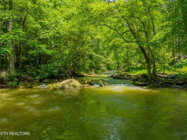 $594,900 | 118 Authorn Sheldon Road, Harriman, TN 37748