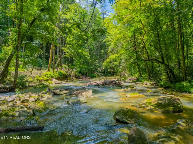 $594,900 | 118 Authorn Sheldon Road, Harriman, TN 37748