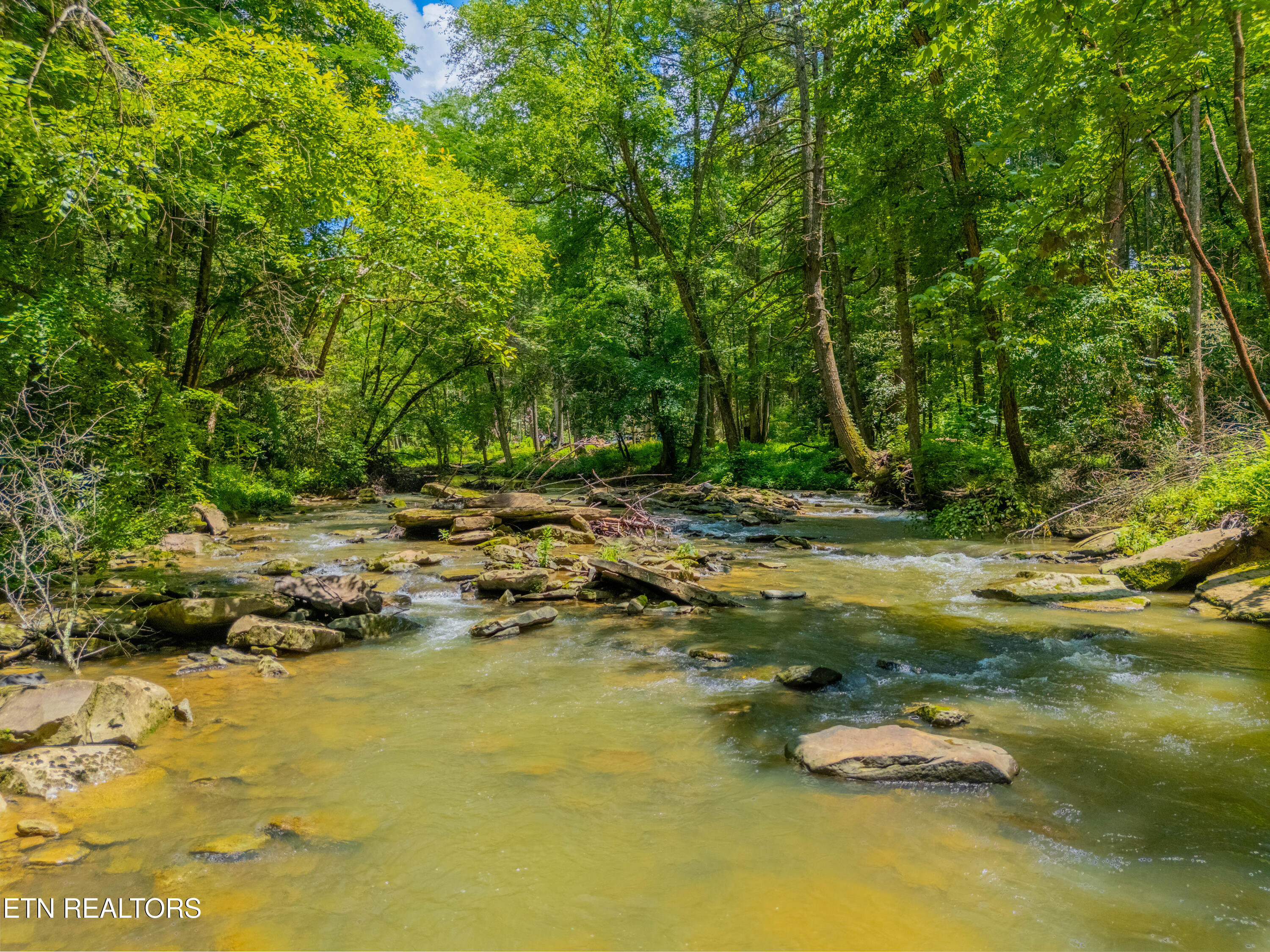 118 Authorn Sheldon Road Harriman, TN 37748 - Photo 29 of 58 DJI_20250617142304_0959_D-HDR