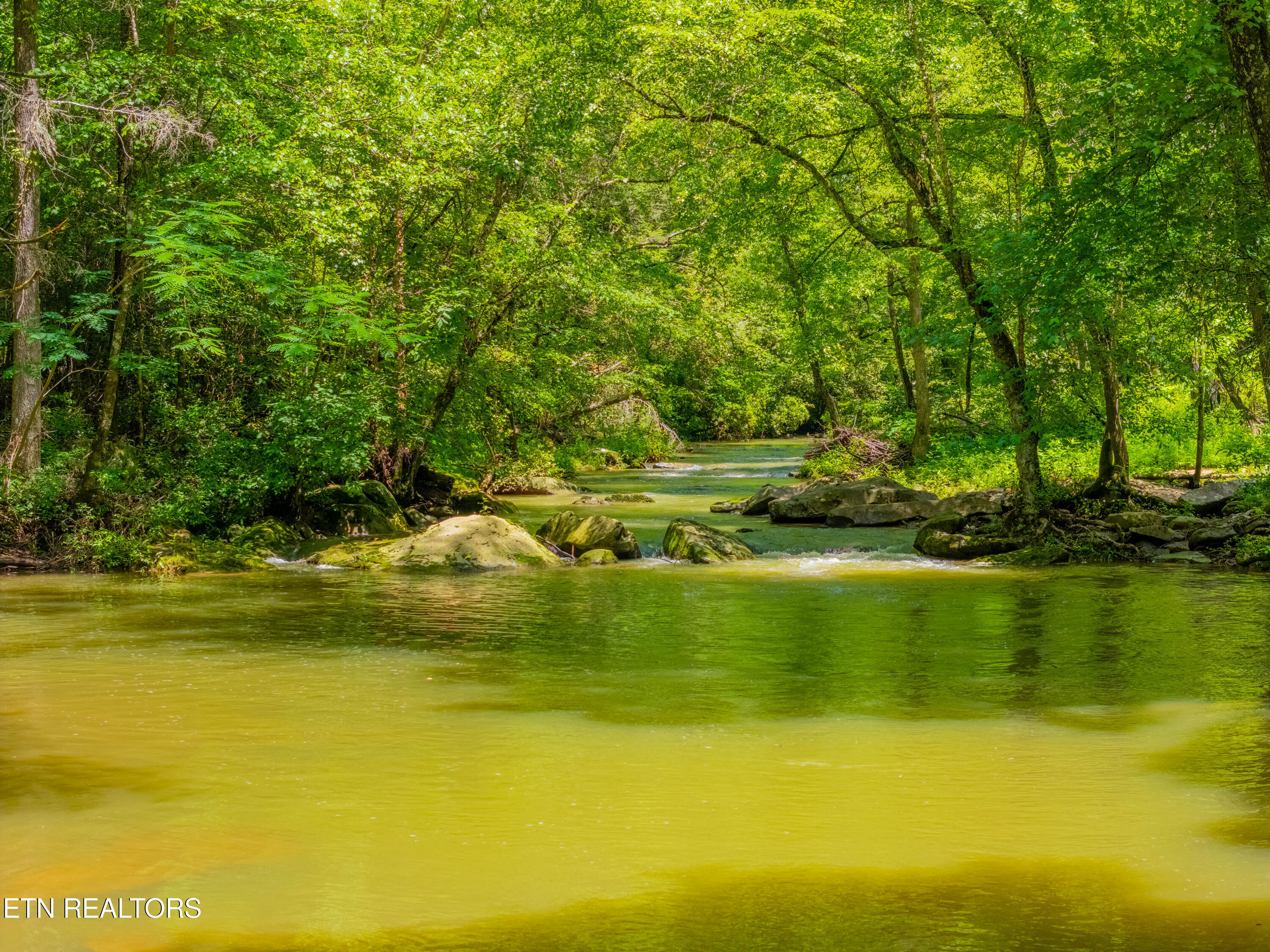 118 Authorn Sheldon Road Harriman, TN 37748 - Photo 30 of 58 DJI_20250617142340_0964_D-HDR