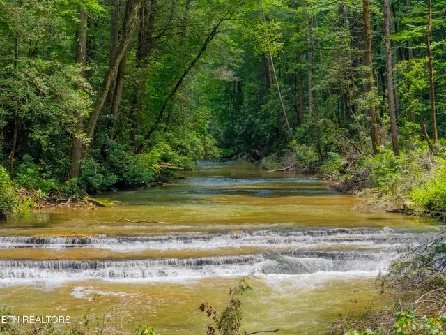 $594,900 | 118 Authorn Sheldon Road, Harriman, TN 37748