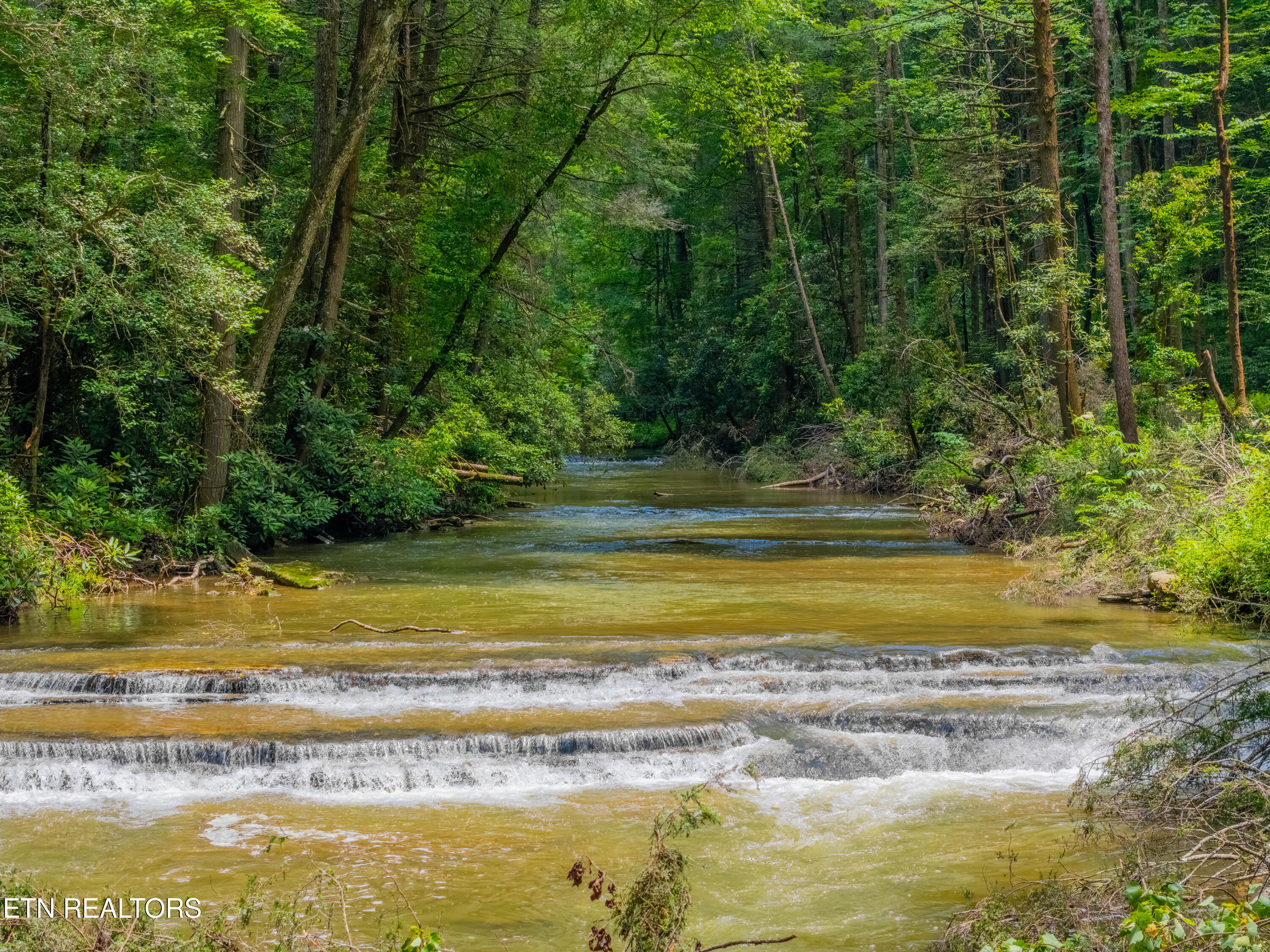 118 Authorn Sheldon Road Harriman, TN 37748 - Photo 31 of 58 DJI_20250617143200_0969_D-HDR