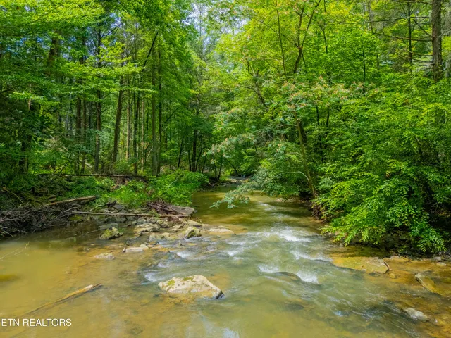 $594,900 | 118 Authorn Sheldon Road, Harriman, TN 37748