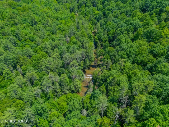 $594,900 | 118 Authorn Sheldon Road, Harriman, TN 37748