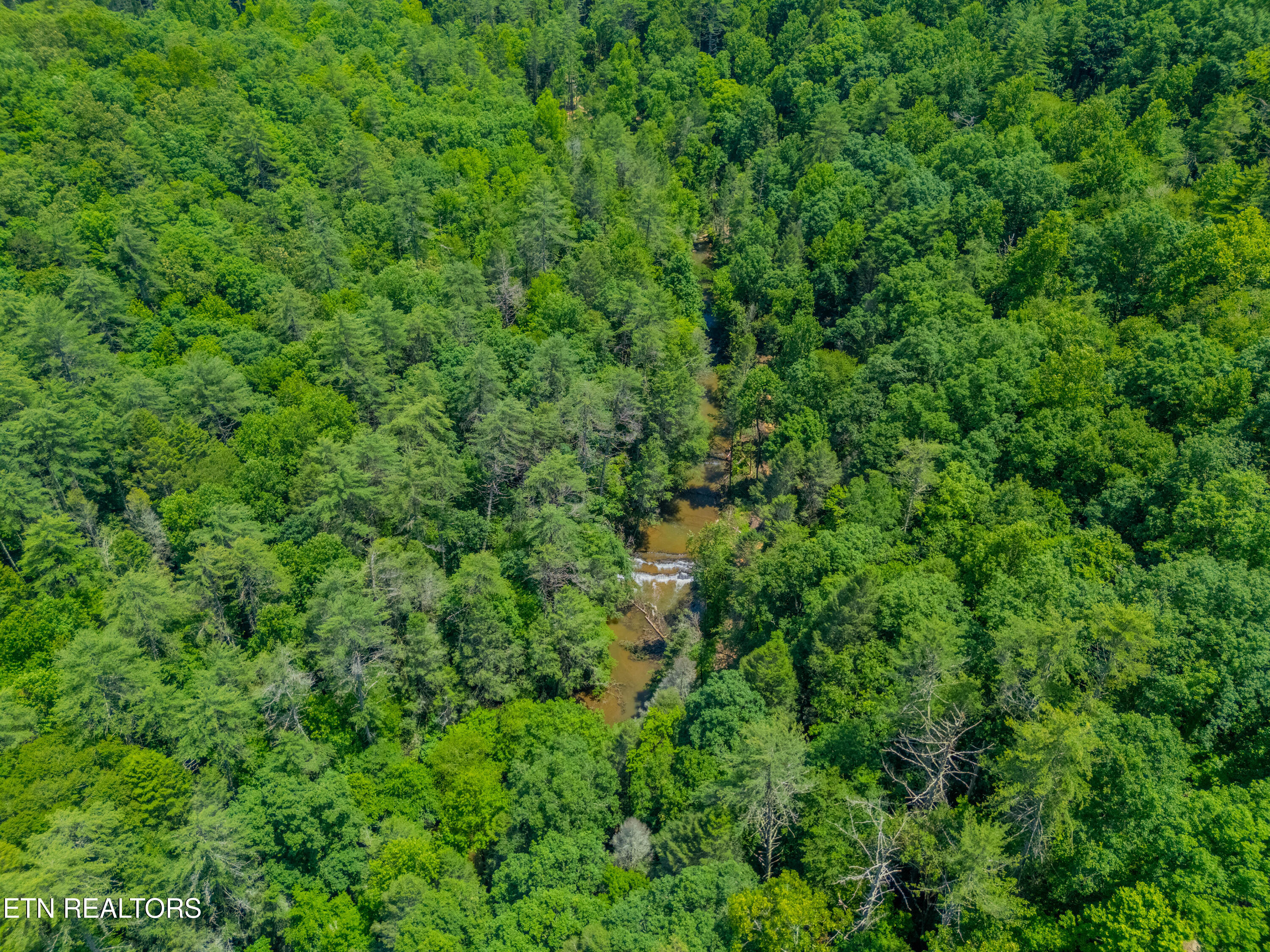 118 Authorn Sheldon Road Harriman, TN 37748 - Photo 36 of 58 DJI_20250617143417_0001_D-HDR