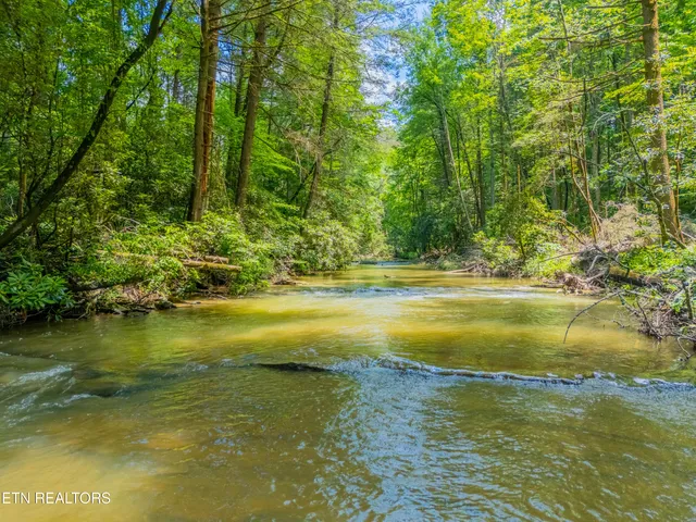 $594,900 | 118 Authorn Sheldon Road, Harriman, TN 37748