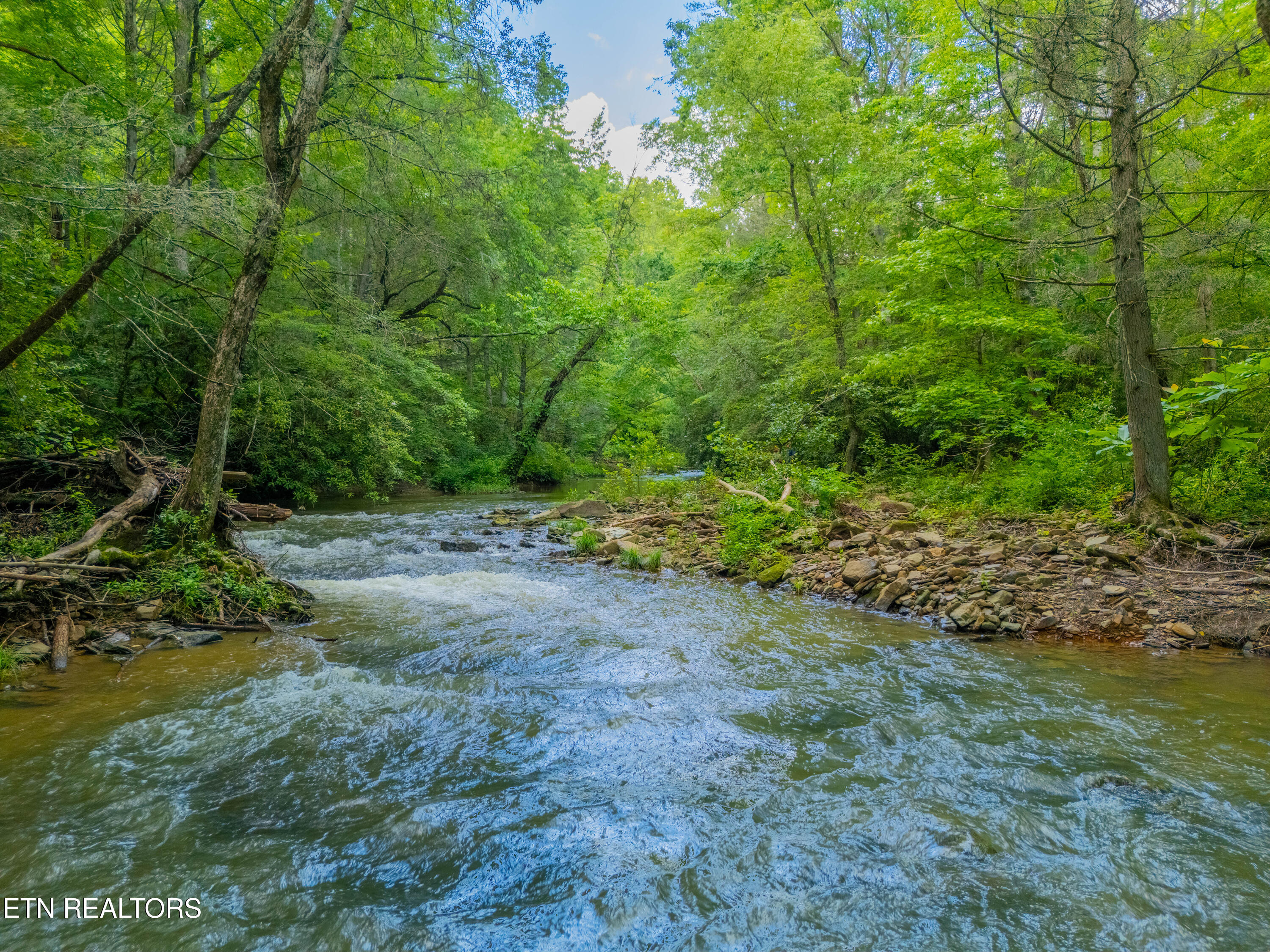 118 Authorn Sheldon Road Harriman, TN 37748 - Photo 47 of 58 DJI_20250617162347_0090_D-HDR