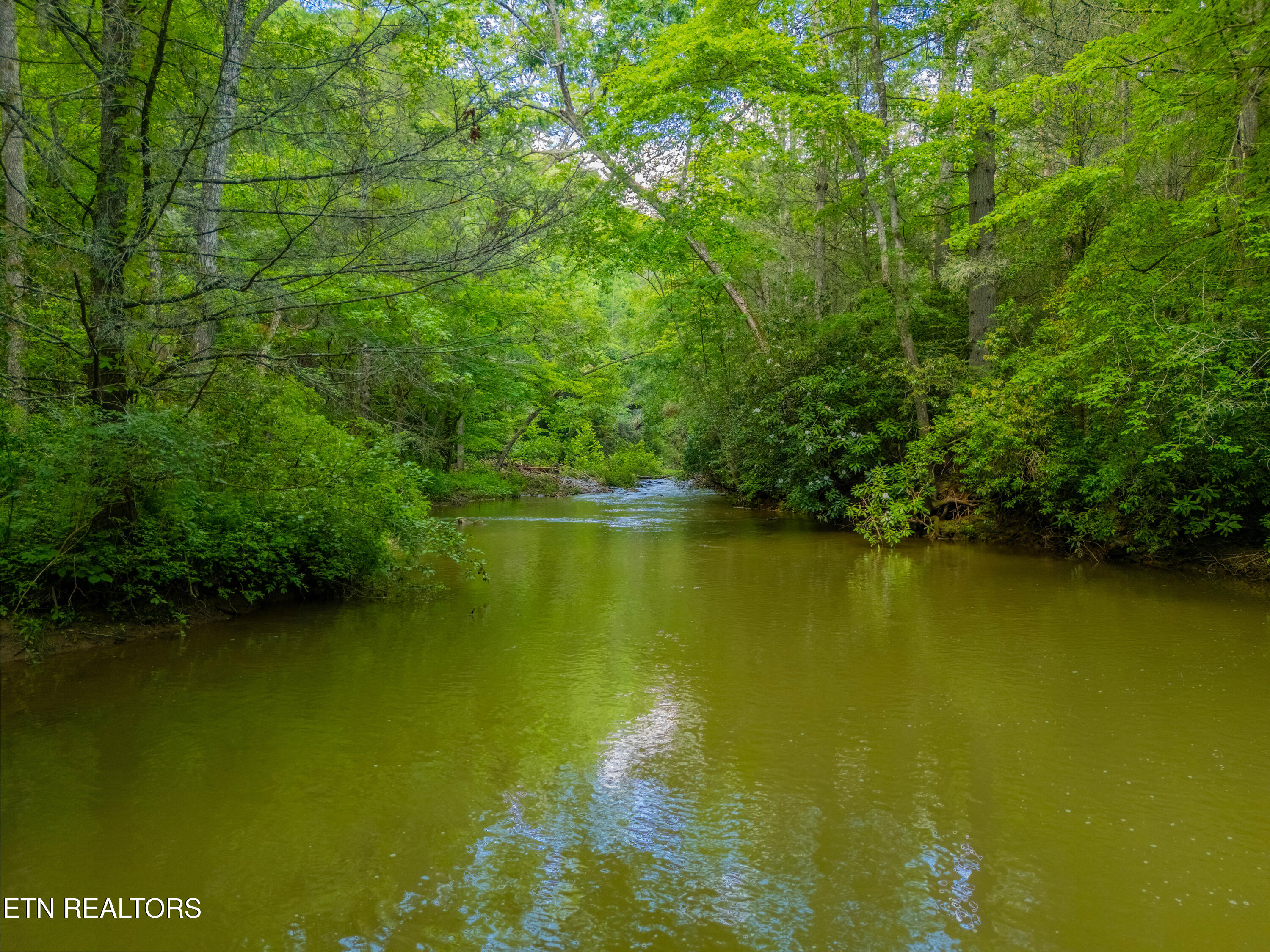 118 Authorn Sheldon Road Harriman, TN 37748 - Photo 48 of 58 DJI_20250617162435_0095_D-HDR